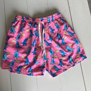 Men’s chubbies swim trunks
